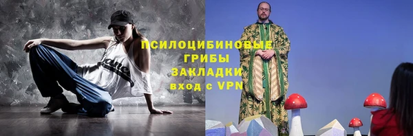 МДПВ Инсар