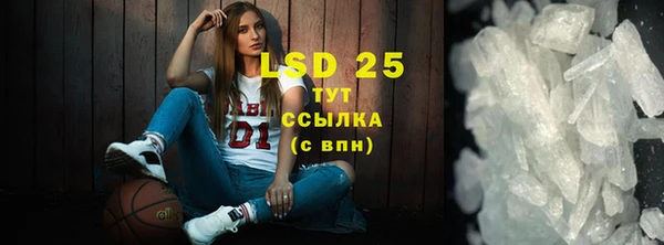 МДПВ Инсар