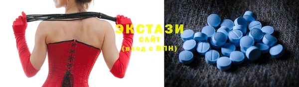 МДПВ Инсар