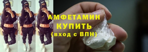 МДПВ Инсар