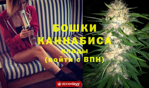 каннабис Инта