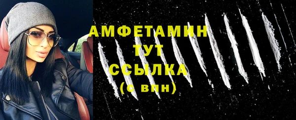 МДПВ Инсар