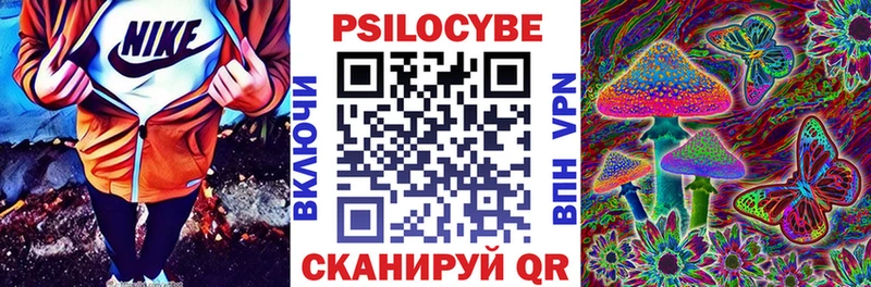 Псилоцибиновые грибы прущие грибы ссылка на мегу ТОР Нерюнгри цена