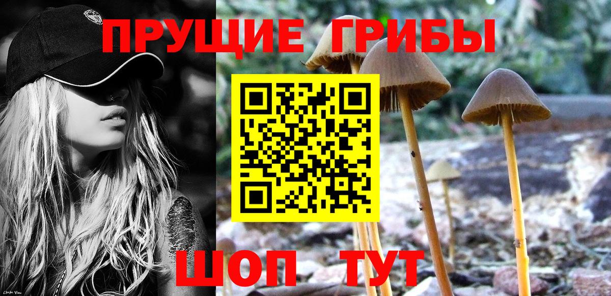 Галлюциногенные грибы Magic Shrooms  купить   Нерюнгри  Вход с VPN 
